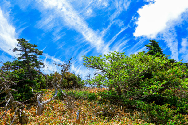 山间楼梯油画