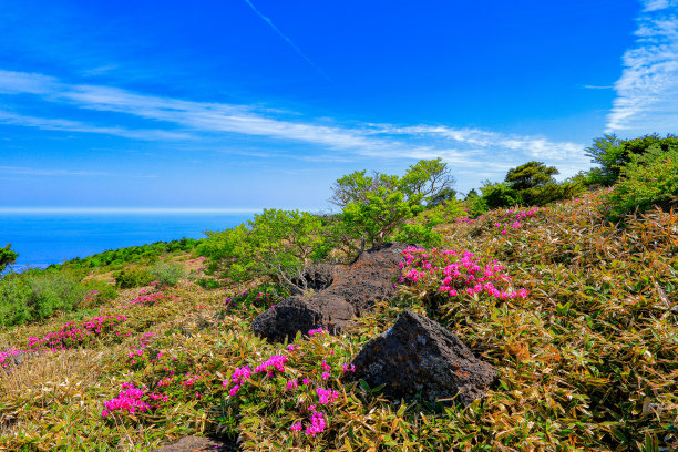 山间楼梯油画