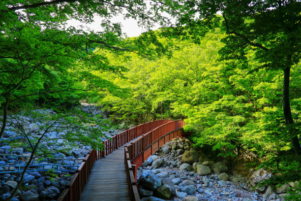 山间楼梯油画