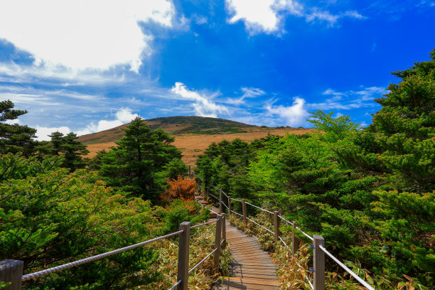 山间楼梯油画