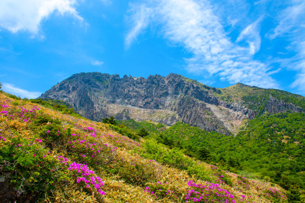 山间楼梯油画