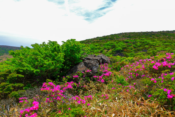 山间楼梯油画