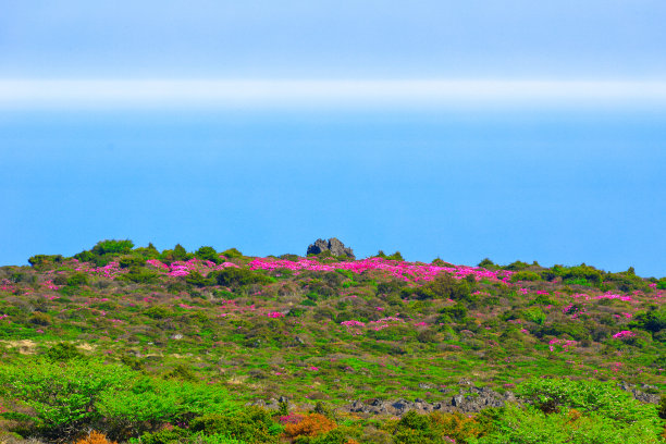 山间楼梯油画