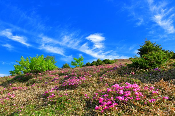 山间楼梯油画