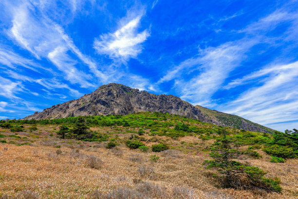 山间楼梯油画