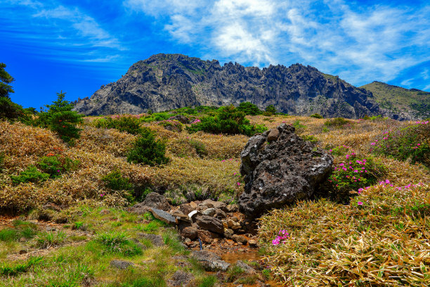 山间楼梯油画