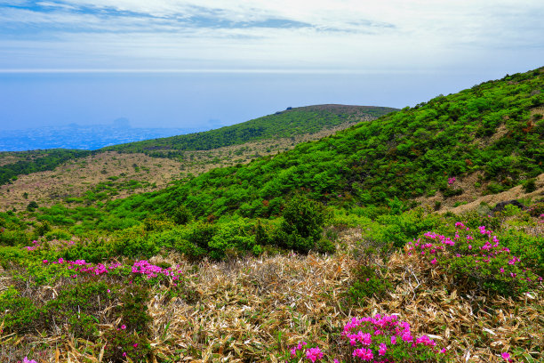 山间楼梯油画