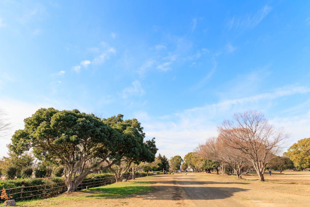 日本遗迹公园