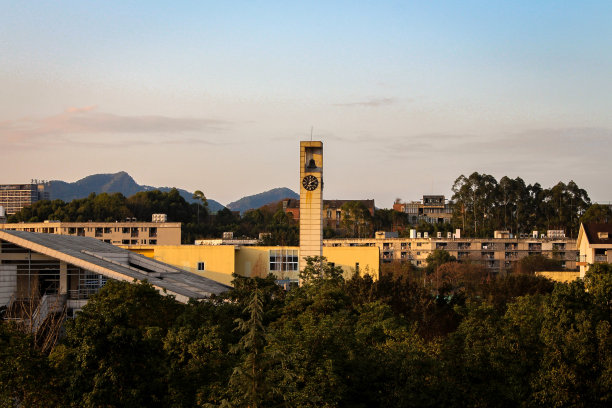 重庆大学