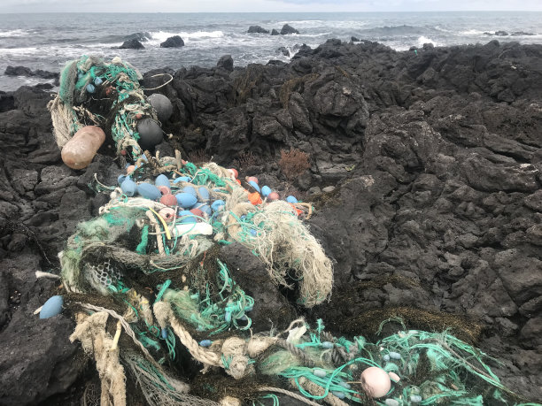 海边环卫工,沙滩清洁工