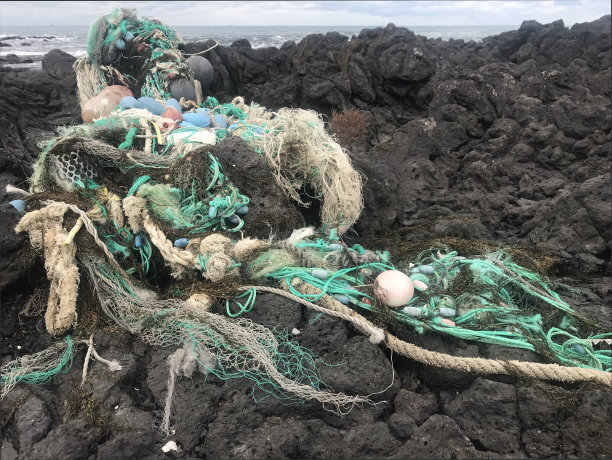 海边环卫工,沙滩清洁工