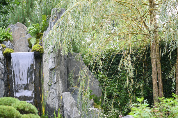 浪漫植树节