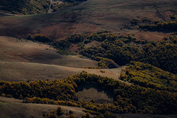 高原秋天的金黄山谷