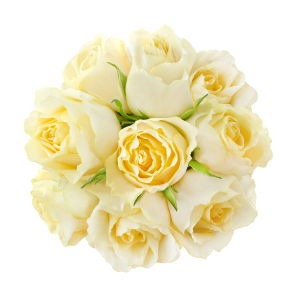 黄玫瑰花束母亲节鲜花