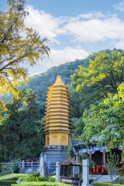 人行道地砖台阶路面