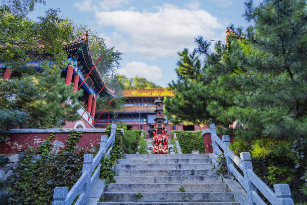 人行道地砖台阶路面