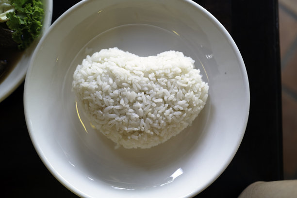 米饭摆盘图片
