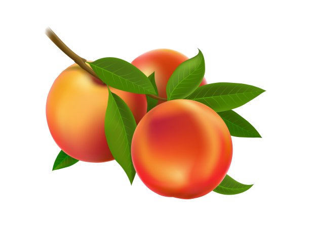 桃子油桃图片维生素