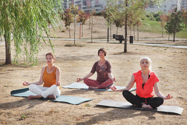 在公园里练习瑜伽的三个女人
