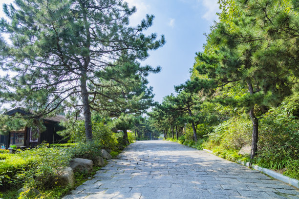 人行道地砖台阶路面