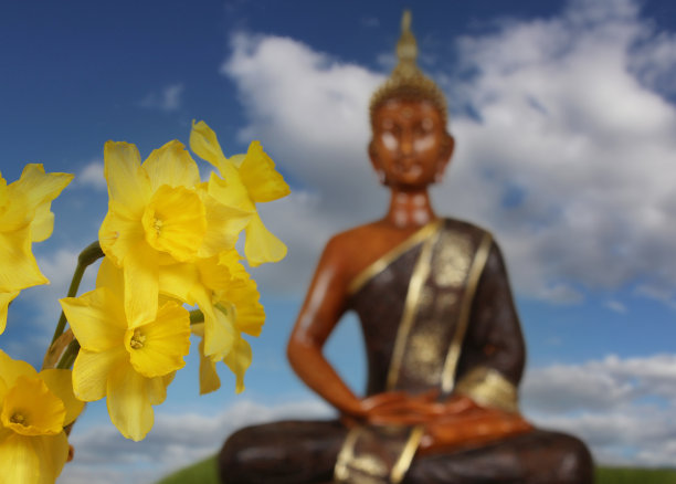 水仙花造型