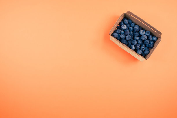 蓝莓汁礼盒