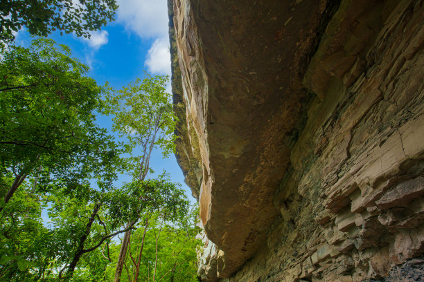 绿色山洞墙壁背景
