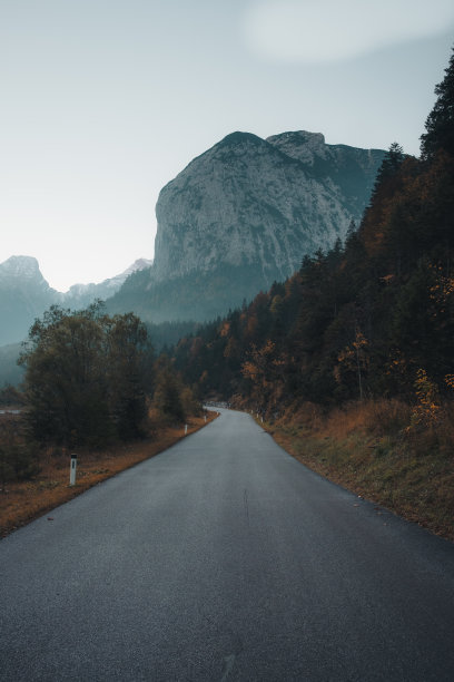 雾色林中道路