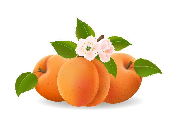 桃子油桃图片维生素