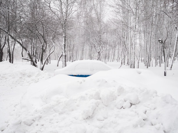 白雪覆盖的屋顶