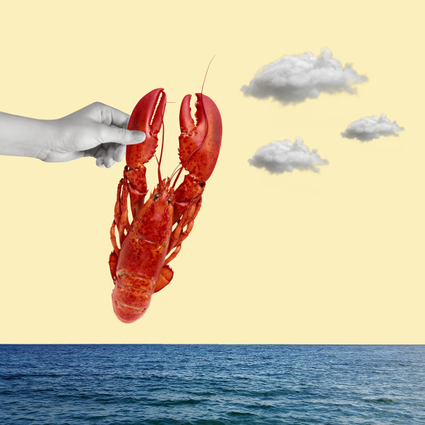 小龙虾 创意海报