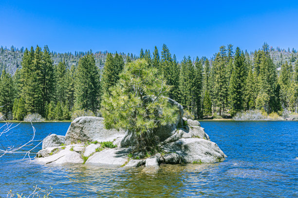 湖泊小树岩石