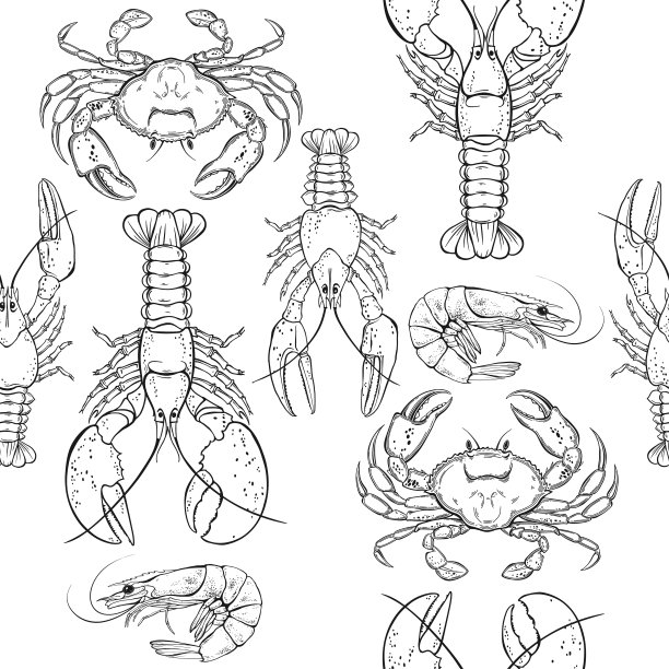 小龙虾白底素材