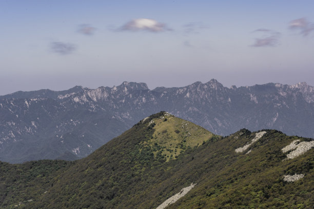 华山,云海,华山松