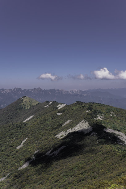 华山,云海,华山松