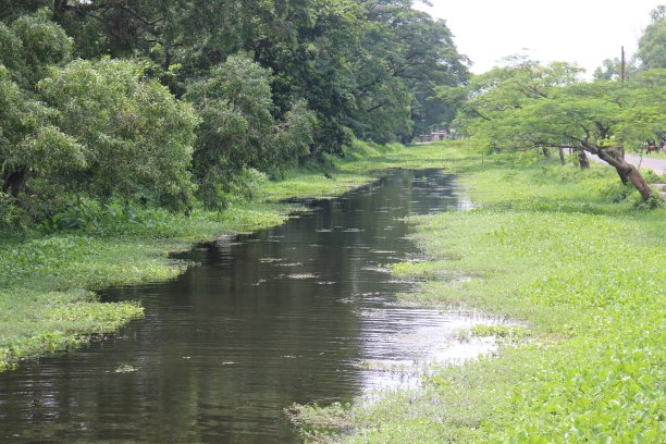 杭州湿地生态公园