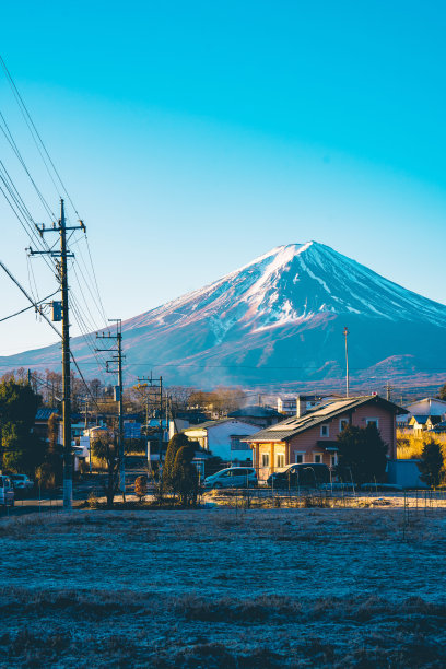 本州屋