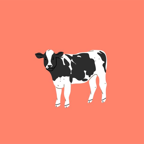 艺术奶牛背景