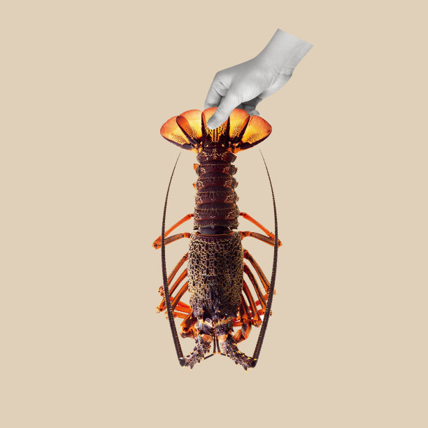 小龙虾 创意海报