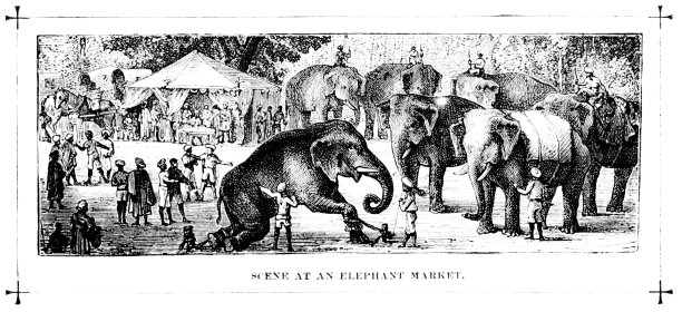 大象精雕图
