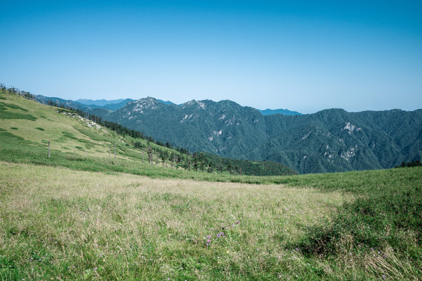 秦岭山