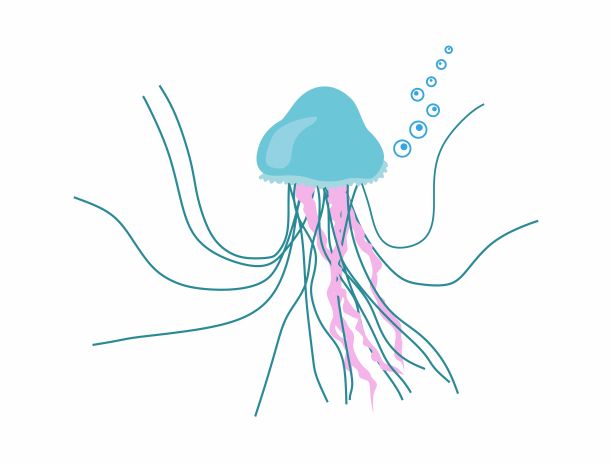 水母简易插图图标