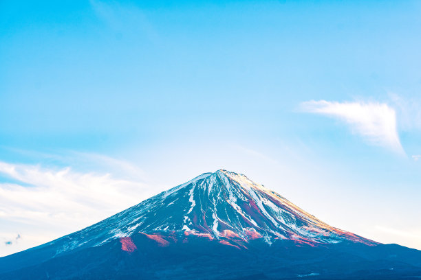 雪山一点红