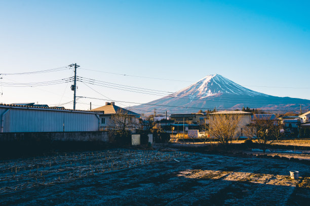 本州屋