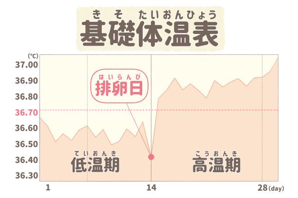 孕检健康教育