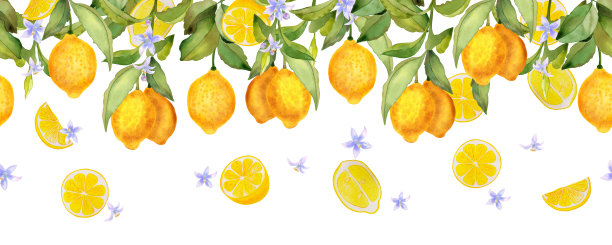 柠檬图案柠檬花纹边框夏天背景
