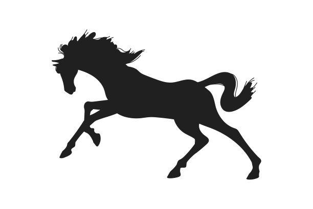 小马驹logo