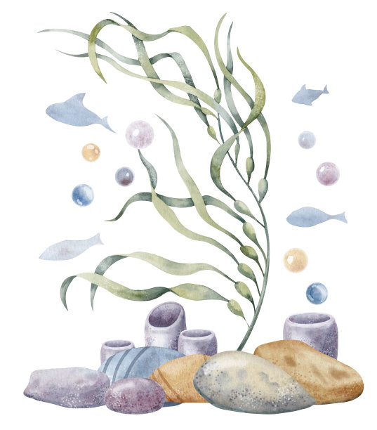 海藻海鲜沙拉