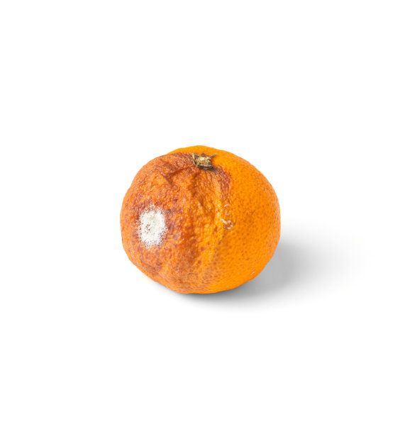 丑橘高清图片