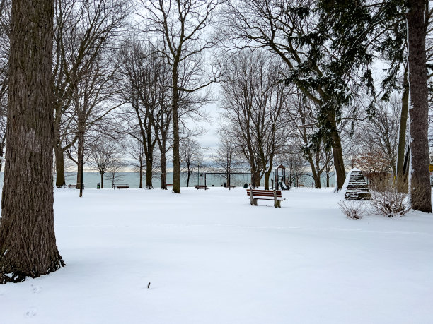 雪中庭院湖景